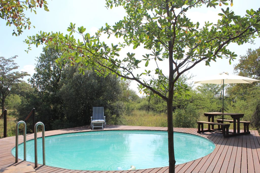 Pool Area 1