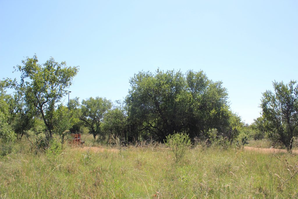 STANDS VIEWS (1)